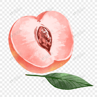 WWW,ccc95·COM网站APPAPP应用
